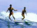 2 surfers on long 'Malibu' surfboards
