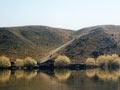 Lake Heron