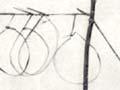 Tāhei snare