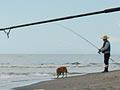 Fishing for kahawai
