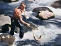 Fishing in New Zealand rivers