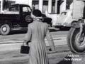 Video: Jaywalkers