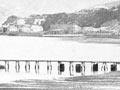 Wellington shoreline after the 1855 earthquake