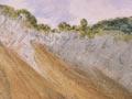 Coastal landslide (1st of 2)