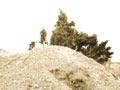Gravel volcano in the Matiri valley (2nd of 2)