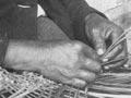 Weaving with flax (2nd of 3)