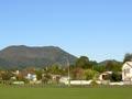Tauhara