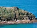 Station Bay pā (1st of 2)