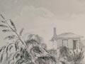 Taming the wilderness