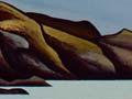 Te Henga (Bethells Beach)