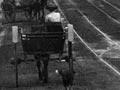 Dominion Road