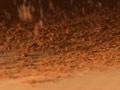 Video: Instant coffee