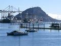 Tauranga on a fine day