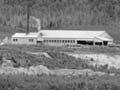 Sawmill, Minginui