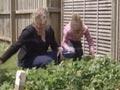 Video: Going back to the garden