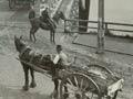 Whanganui town bridge, around 1904 
