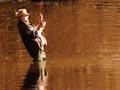 Trout fishing, Mataura River