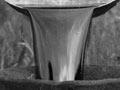 Collecting whale oil (3rd of 3)