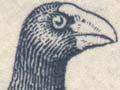 Takahē stamp, 1956 