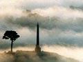 One Tree Hill