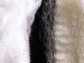Merino and Romney wool
