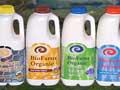 Biofarm organic produce