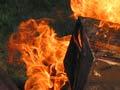 Burning an infected hive