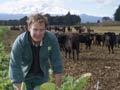 Sheep drench alternatives