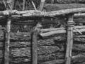 Timber fence, Chatham Islands (2nd of 3)