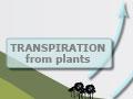 New Zealand’s water cycle