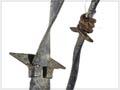 Barbed wire