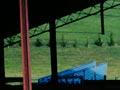Sheep yards