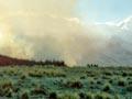 Burning tussock