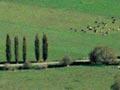 The Canterbury Plains, early 2000s