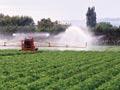 Irrigated crops (2nd of 2)
