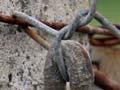 Chain-and-slot type catch (6th of 6)