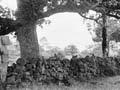 Stone walls