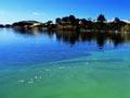 Blue-green algae in Lake Waihola, Otago