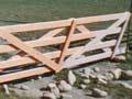 Wooden gates, Canterbury (1st of 6)
