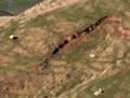 Hills covered with browntop