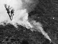 Burning the bush