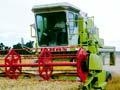 Combine harvester at work