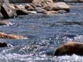 Boulder stream (1st of 4)