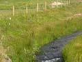 Well-fenced stream (2nd of 2)