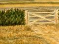 Hedges and gates