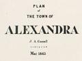 Interactive: Alexandra surveyed