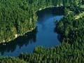 Forest catchment