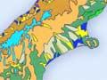South Island soils (2nd of 2)