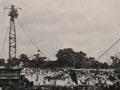 Nauru stripped