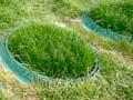 Nitrate leaching research